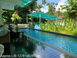 Tanglin Road (D10), Detached #480721721